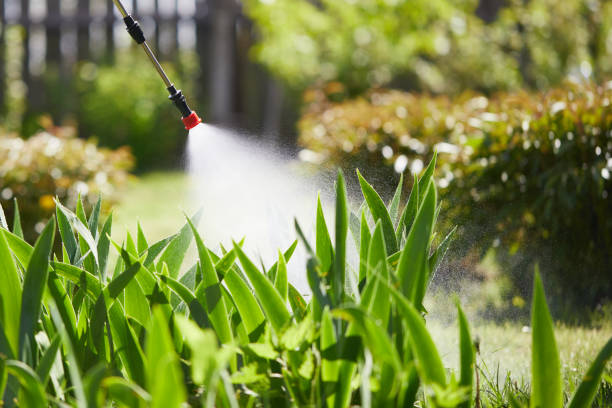24/7 Emergency Mosquito Control experts in Somerville, TN