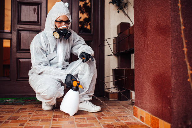 Reliable Mosquito Control contractor in Somerville, TN by Show Me Pest Control