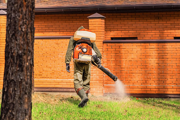 Top rated local Mosquito Control specialists in Somerville, TN